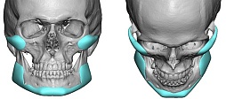 Anatomy of Men's Sexuality. What Faces Do Hollywood and Girls Like?